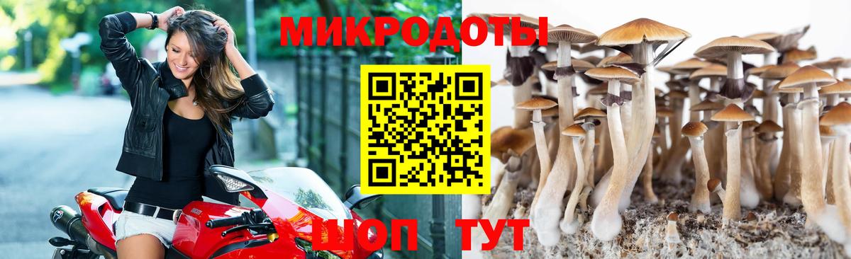 Псилоцибиновые грибы GOLDEN TEACHER  Псилоцибиновые грибы мицелий  Воркута  Вход с VPN 